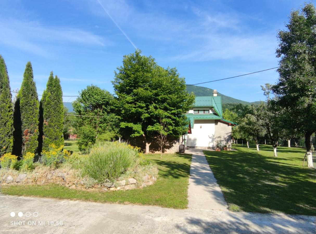 Mila Holiday Home Lohovo Zewnętrze zdjęcie